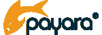 Payara Services