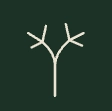 Eyr Holistic