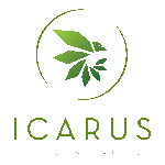 Icarus Digital Marketing